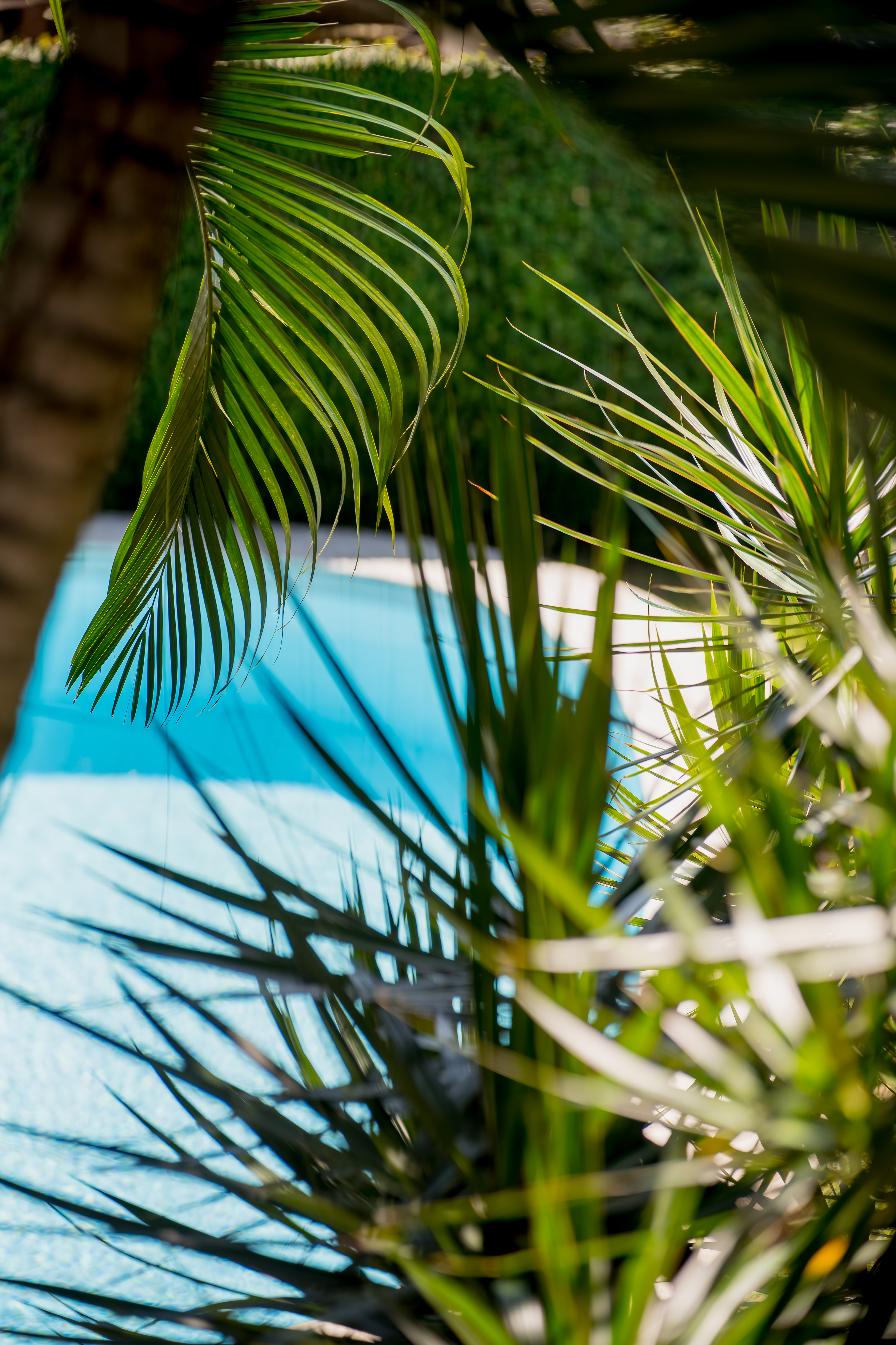 Our luxury villa in Natal, Brazil